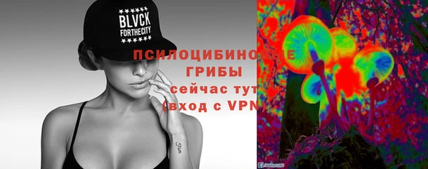 тгк Алексеевка