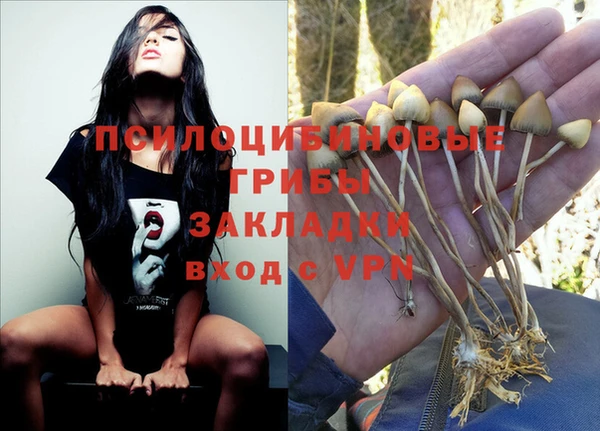 а пвп мука Алексин