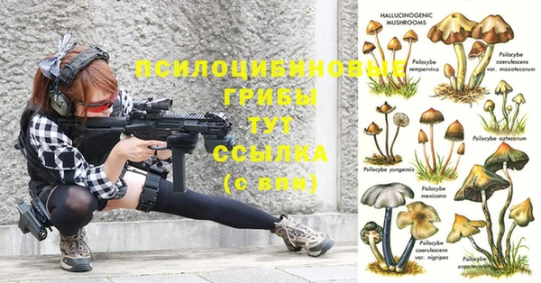тгк Алексеевка